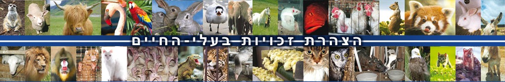 הצהרת זכויות בעלי-החיים