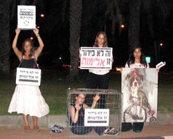 Demonstration against animal circus acts
