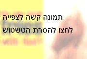 ראש מדמם של בשר פרה
