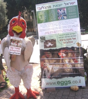 At Anonymous' picket against the Ministry of Agriculture egg industry reform