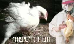 חברות הטיפוח הן יותר תחום מדעי מאשר ענף חקלאי, אשר מהווה את שיא הטכנולוגיה החקלאית בקנה-מידה מסחרי.