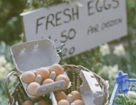 חנות פרטית בלול ביצים