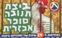 פעילות אנונימוס והישגיה בשנת 2006