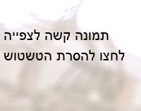 תליית חזירים חיים בצווארם, צולם במשק חזירים גדול בצפון-מזרח אוהיו