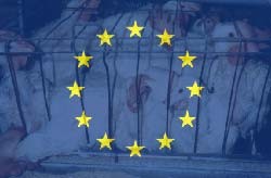 האיחוד האירופי הוא הגוף המדיני החשוב בעולם בתחום רווחת בעלי חיים. עשר מדינות חדשות הצטרפו לאיחוד במאי 2004...