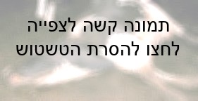 פרה קורסת (Compassion Over Killing)