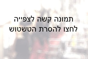 משחטת בקר בארצות-הברית. מקור: Animal Welfare Institute