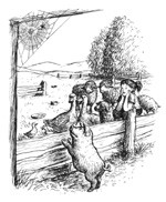  הרשת של שרלוט , אחד מספרי הילדים הפופולאריים ביותר, מספר על הצלת חזיר קטן מפני חקלאים הזוממים להרוג אותו