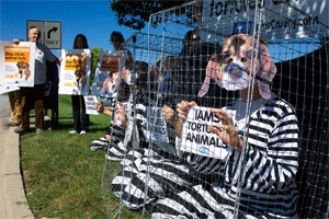 הפגנת PETA נגד הניסויים בחיות ב-Iams