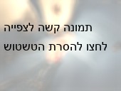 ניתוח שמבוצע לבעל חיים