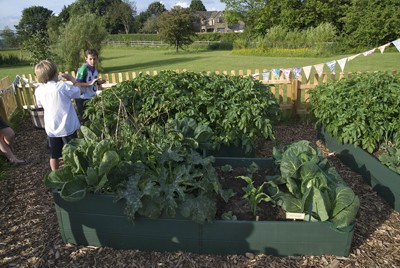 גידול ירקות הוא אחת מהדרכים המומלצות לעורר יחס חיובי כלפיהם. (צולם בבית-ספר יסודי באנגליה, Addingham Archive, Don Barrett)