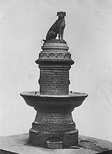 פסל שהוצב בלונדון בין 1906 ל-1910 לזיכרן של 223 חיות שנערכו בהן ניסויים בקולג' אוניברסיטת לונדון ב-1902. הצבת...