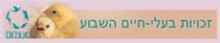 כל אחד יכול: פעילות אינטרנט