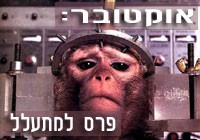 ניסוי מוח בקוף