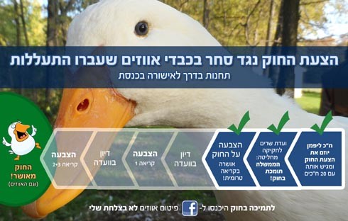 'חוק האווזים' אושר בטרומית!