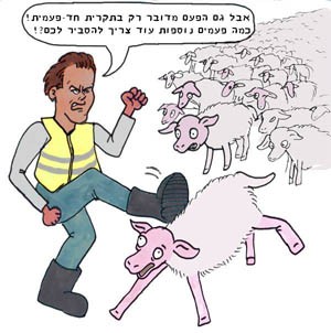 קריקטורה: דדי שי