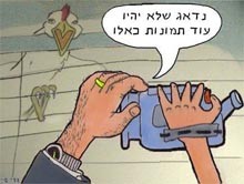 קריקטורה: דדי שי, מתוך טור דיעה בנושא החשיפה במאקו